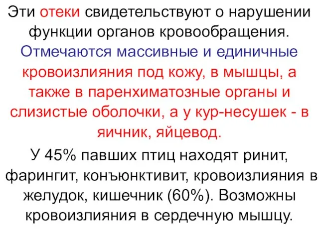 Эти отеки свидетельствуют о нарушении функции органов кровообращения. Отмечаются массивные