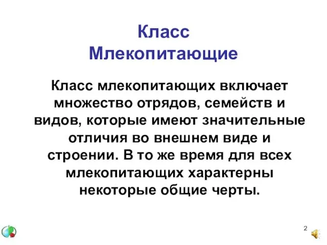 Класс Млекопитающие Класс млекопитающих включает множество отрядов, семейств и видов,