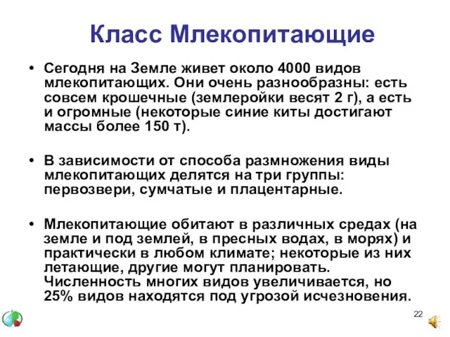 Сегодня на Земле живет около 4000 видов млекопитающих. Они очень