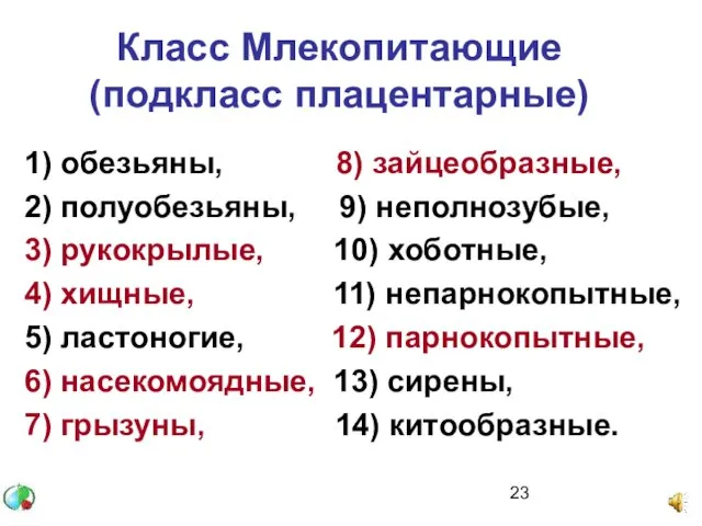 1) обезьяны, 8) зайцеобразные, 2) полуобезьяны, 9) неполнозубые, 3) рукокрылые,