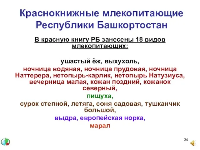 Краснокнижные млекопитающие Республики Башкортостан В красную книгу РБ занесены 18