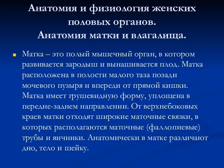 Анатомия и физиология женских половых органов. Анатомия матки и влагалища. Матка – это