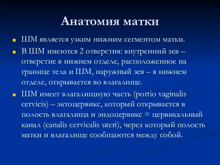 Анатомия матки ШМ является узким нижним сегментом матки. В ШМ имеются 2 отверстия: