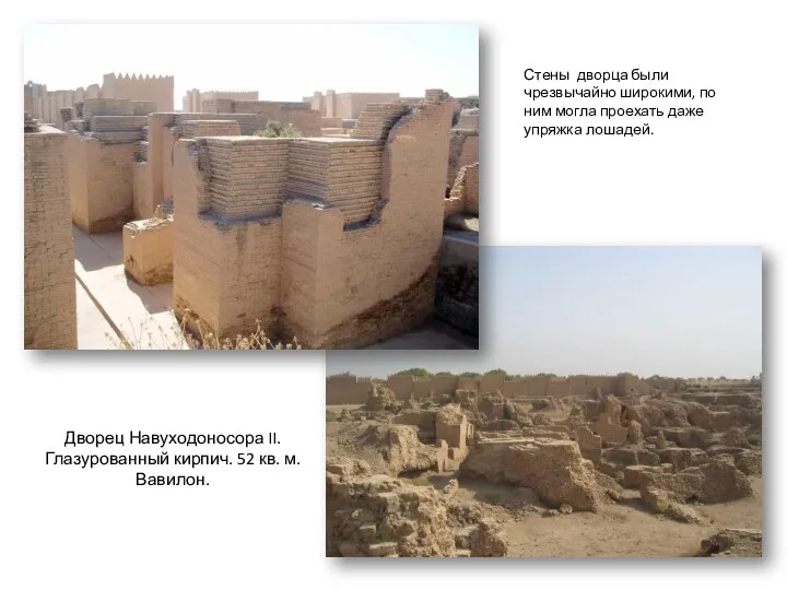 Дворец Навуходоносора II. Глазурованный кирпич. 52 кв. м. Вавилон. Стены