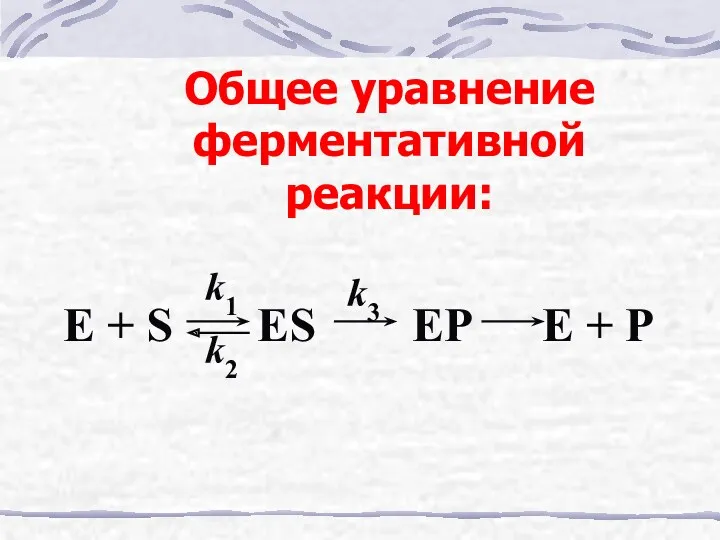 Общее уравнение ферментативной реакции: E + S ES EP E + P k2 k3 k1