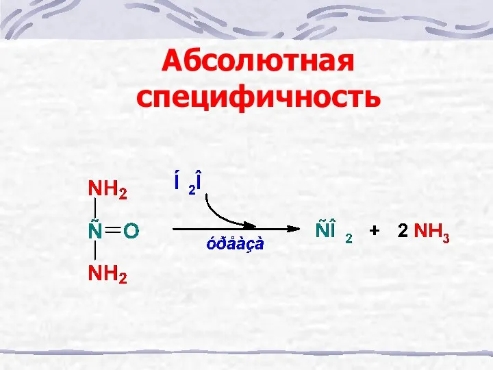 Абсолютная специфичность