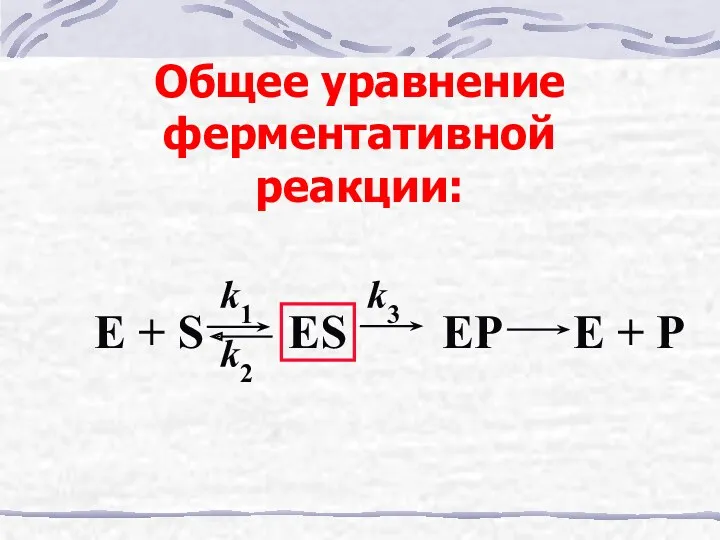 Общее уравнение ферментативной реакции: E + S ES EP E + P k2 k3 k1