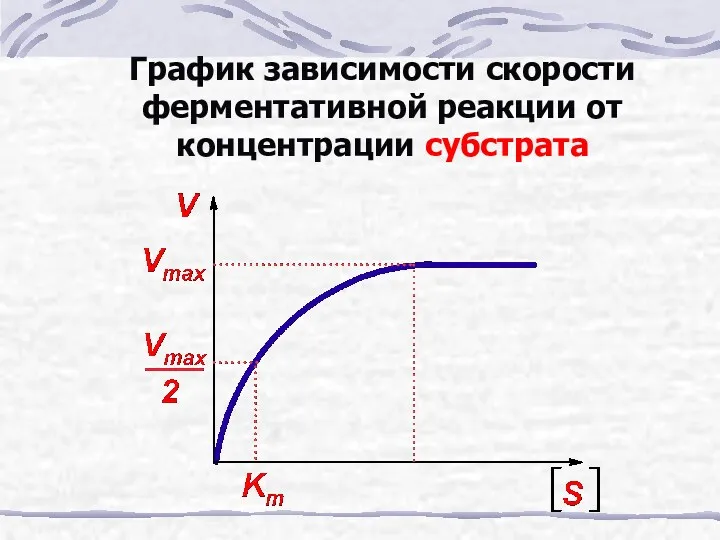 График зависимости скорости ферментативной реакции от концентрации субстрата