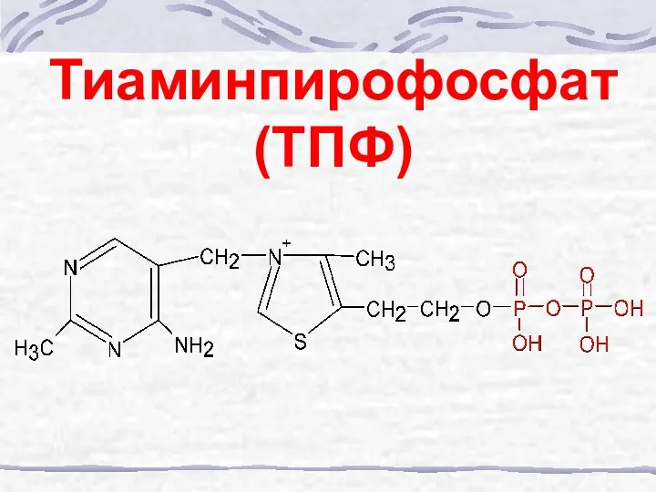 Тиаминпирофосфат (ТПФ)
