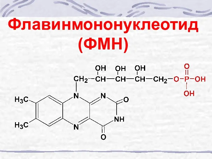 Флавинмононуклеотид (ФМН)