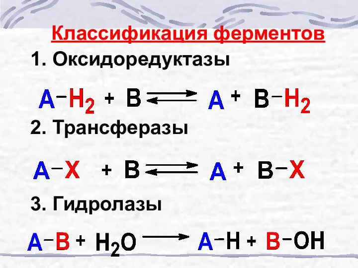 Классификация ферментов 1. Оксидоредуктазы 2. Трансферазы 3. Гидролазы