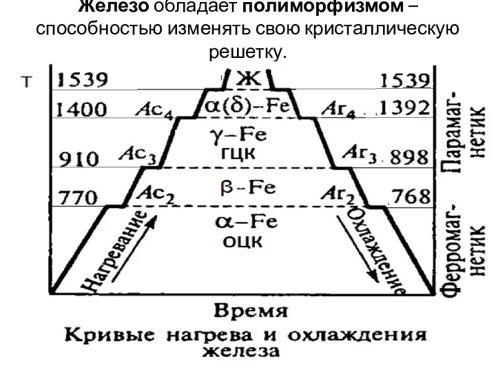 Железо обладает полиморфизмом – способностью изменять свою кристаллическую решетку.