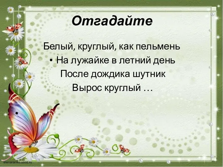 Отгадайте Белый, круглый, как пельмень На лужайке в летний день После дождика шутник Вырос круглый …