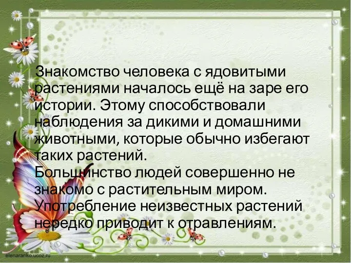 Знакомство человека с ядовитыми растениями началось ещё на заре его