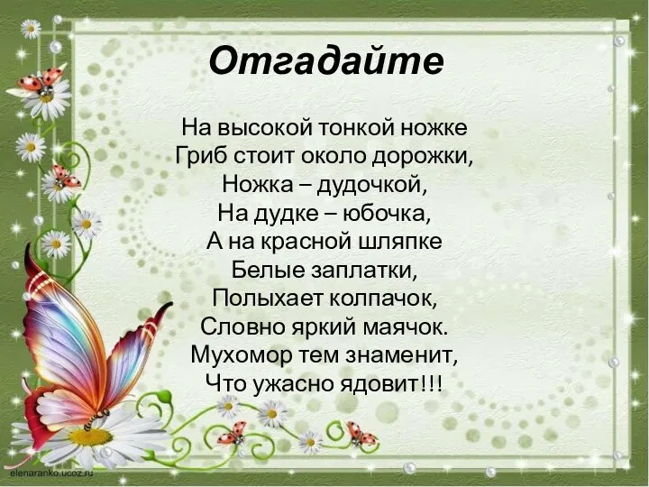 Отгадайте На высокой тонкой ножке Гриб стоит около дорожки, Ножка