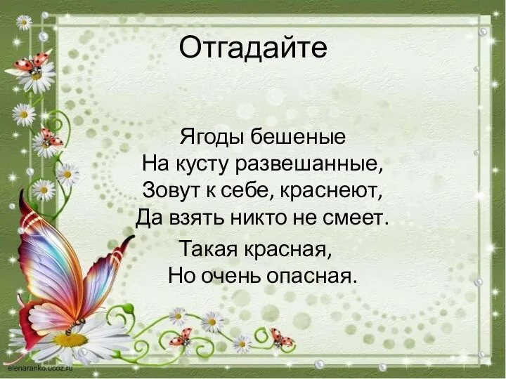 Отгадайте Ягоды бешеные На кусту развешанные, Зовут к себе, краснеют,