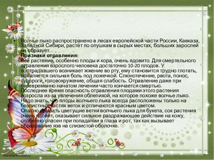 Волчье лыко распространено в лесах европейской части России, Кавказа, Западной