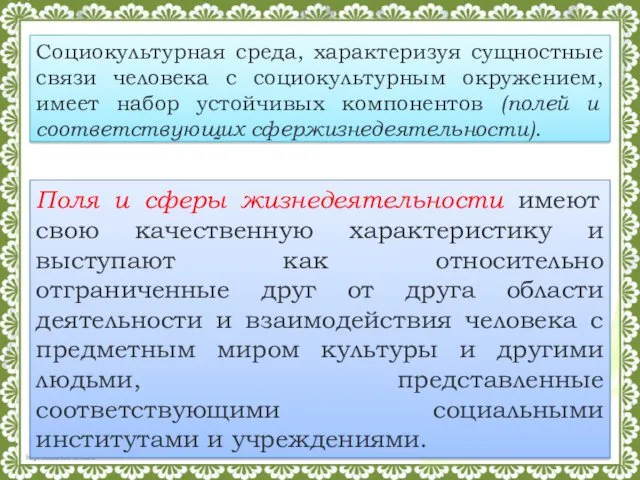 Поля и сферы жизнедеятельности имеют свою качественную характеристику и выступают