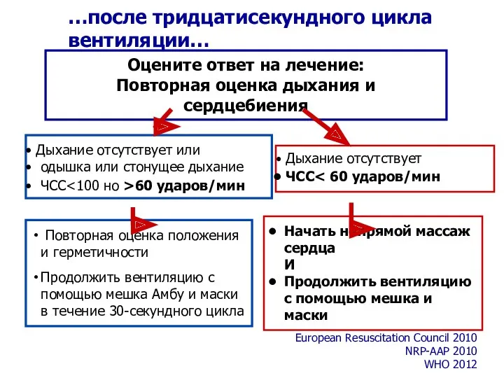 …после тридцатисекундного цикла вентиляции… Дыхание отсутствует или одышка или стонущее