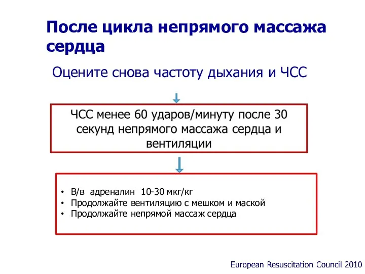 После цикла непрямого массажа сердца В/в адреналин 10-30 мкг/кг Продолжайте