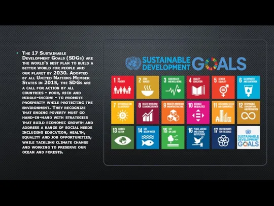 The 17 Sustainable Development Goals (SDGs) are the world's best