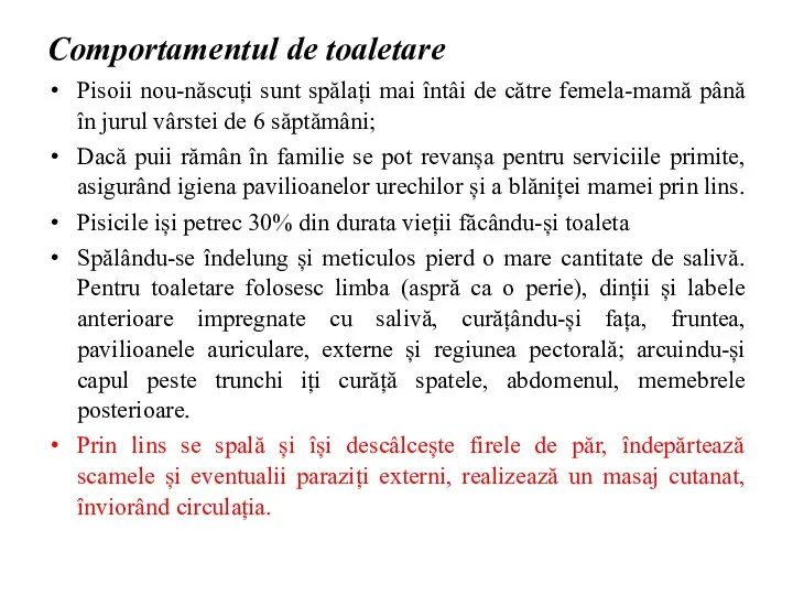 Comportamentul de toaletare Pisoii nou-născuți sunt spălați mai întâi de