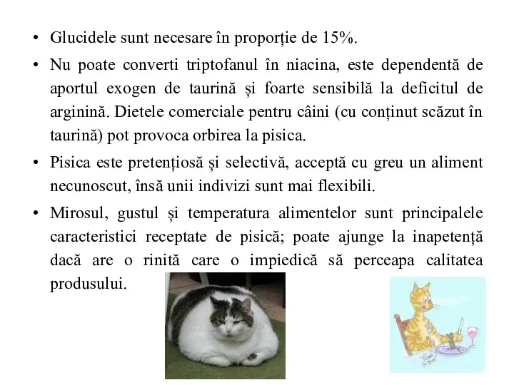 Glucidele sunt necesare în proporție de 15%. Nu poate converti