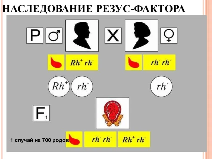 НАСЛЕДОВАНИЕ РЕЗУС-ФАКТОРА 1 случай на 700 родов