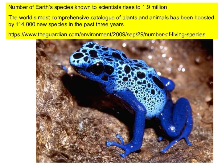 Биоразнообразие Земли Number of Earth's species known to scientists rises