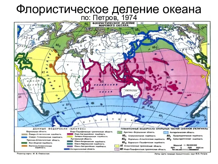 Флористическое деление океана по: Петров, 1974