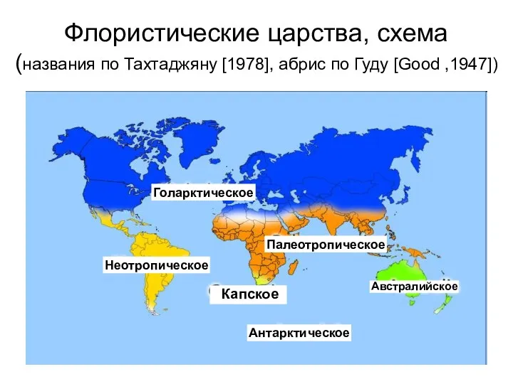 Флористические царства, схема (названия по Тахтаджяну [1978], абрис по Гуду