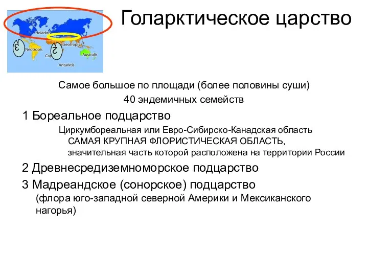 Голарктическое царство Самое большое по площади (более половины суши) 40