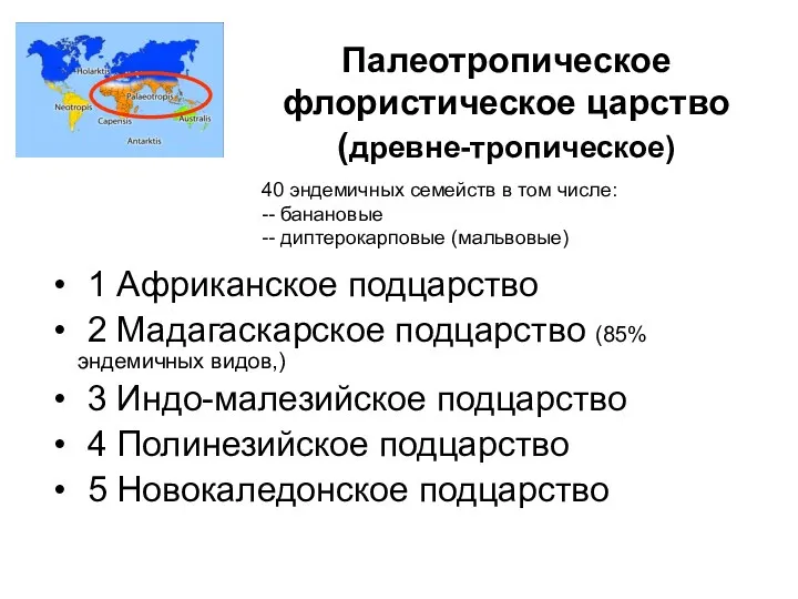 Палеотропическое флористическое царство (древне-тропическое) 1 Африканское подцарство 2 Мадагаскарское подцарство