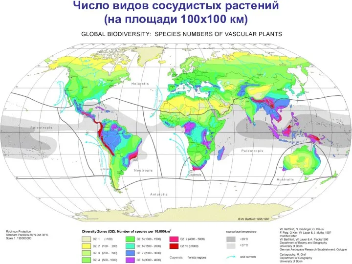 Число видов сосудистых растений (на площади 100х100 км)