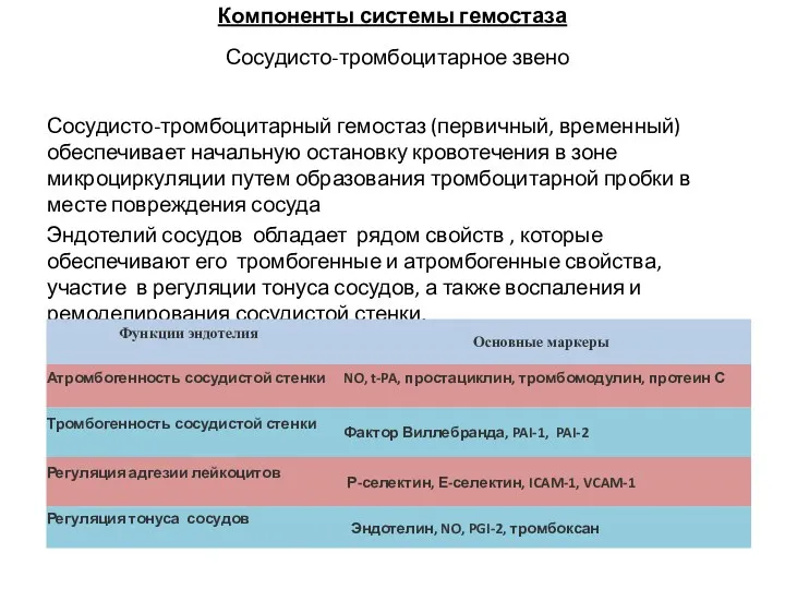 Компоненты системы гемостаза Сосудисто-тромбоцитарное звено Сосудисто-тромбоцитарный гемостаз (первичный, временный) обеспечивает