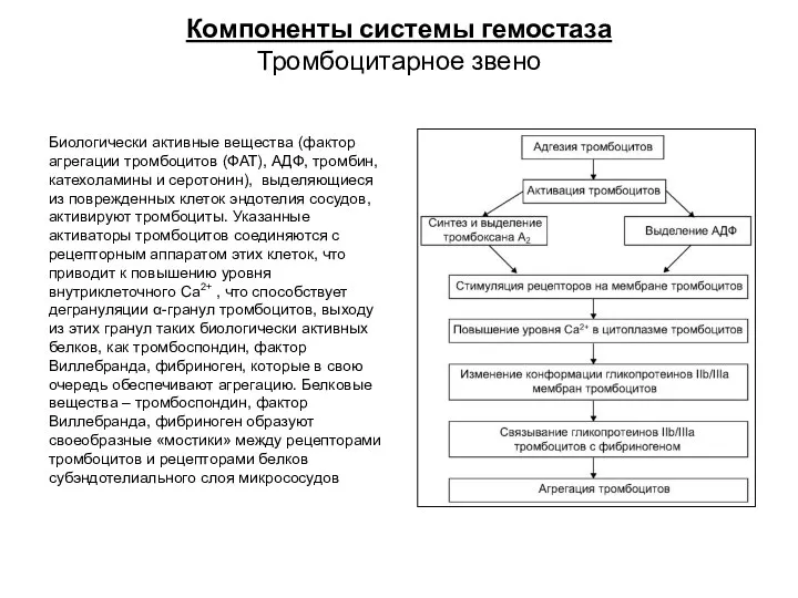 Компоненты системы гемостаза Тромбоцитарное звено Биологически активные вещества (фактор агрегации