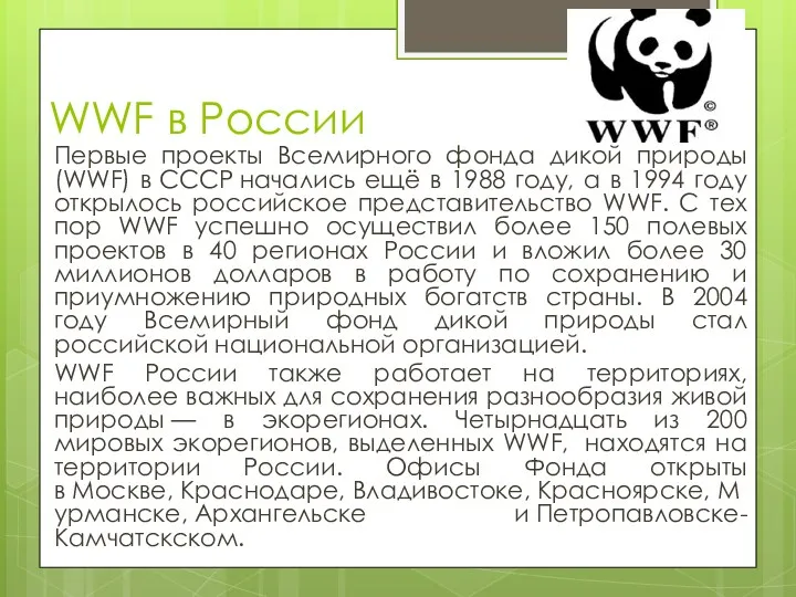 WWF в России Первые проекты Всемирного фонда дикой природы (WWF)