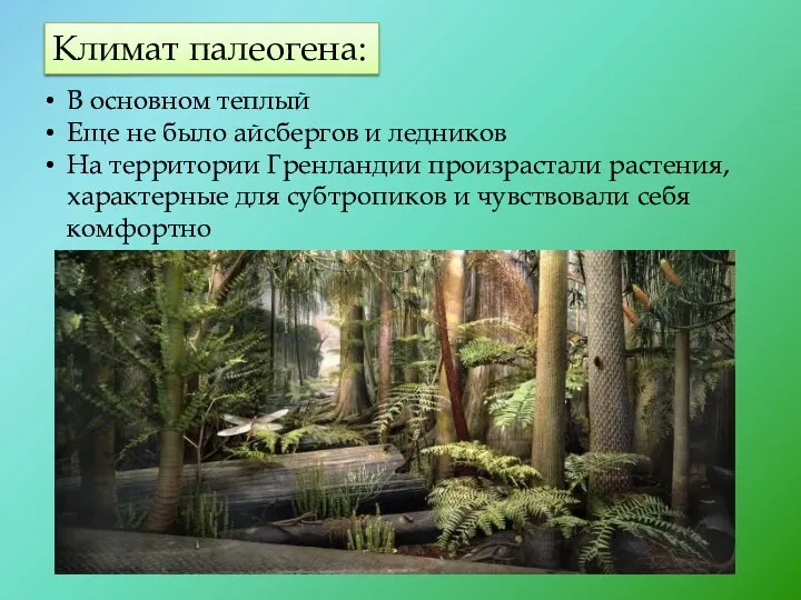 Климат палеогена: В основном теплый Еще не было айсбергов и