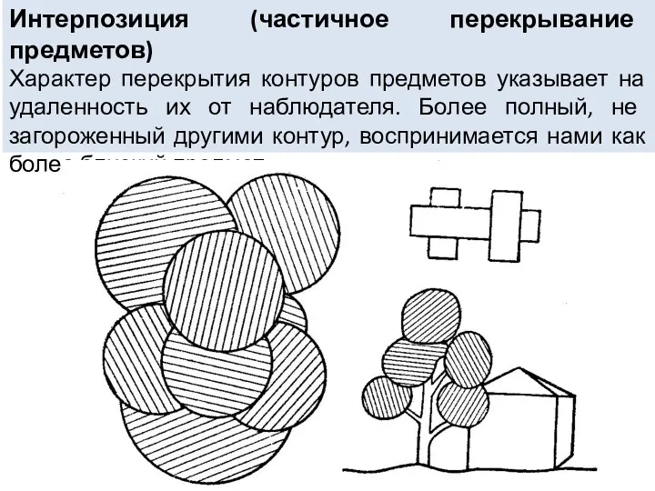 Интерпозиция (частичное перекрывание предметов) Характер перекрытия контуров предметов указывает на