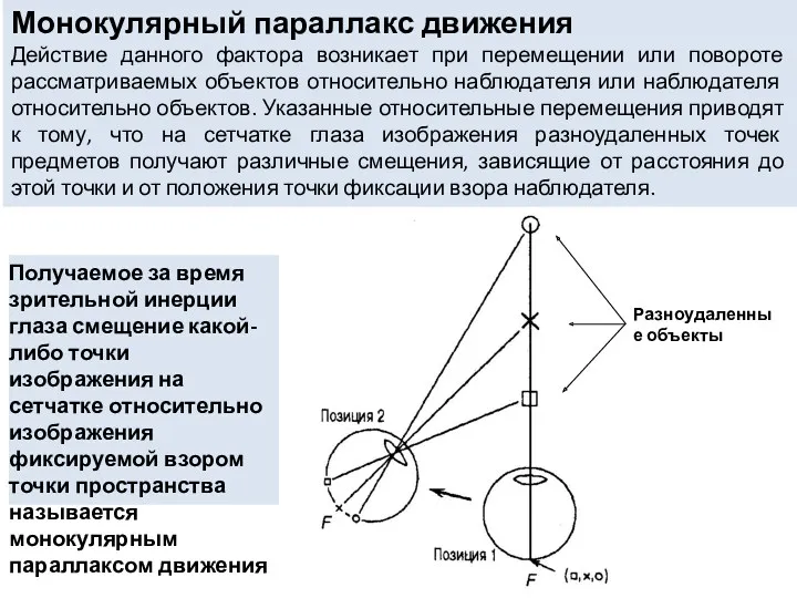 Монокулярный параллакс движения Действие данного фактора возникает при перемещении или