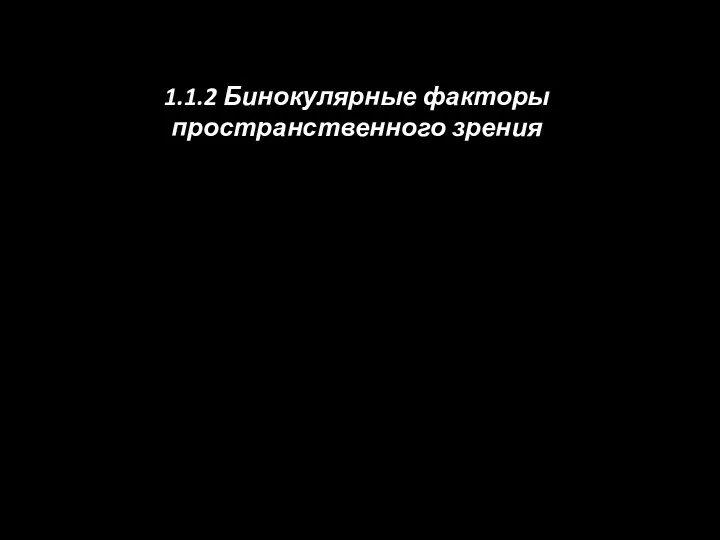 1.1.2 Бинокулярные факторы пространственного зрения