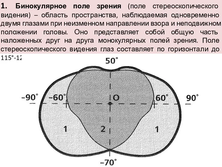 1. Бинокулярное поле зрения (поле стереоскопического видения) – область пространства,