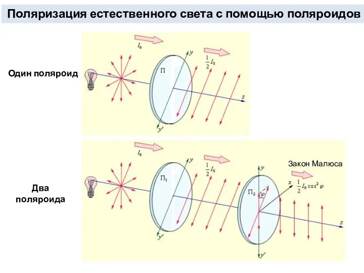 Поляризация естественного света с помощью поляроидов Один поляроид Два поляроида Закон Малюса