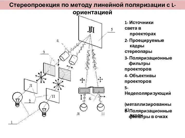 Стереопроекция по методу линейной поляризации с L-ориентацией