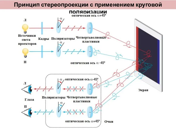 Принцип стереопроекции с применением круговой поляризации