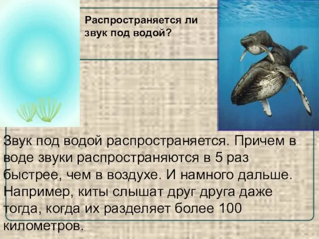 Звук под водой распространяется. Причем в воде звуки распространяются в