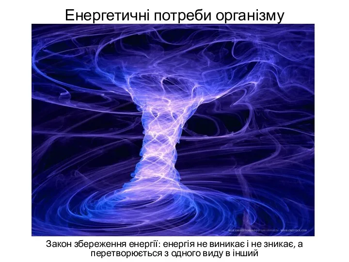 Енергетичні потреби організму Закон збереження енергії: енергія не виникає і