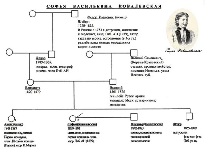 Составление родословной начинают с человека, который был обследован первым, его