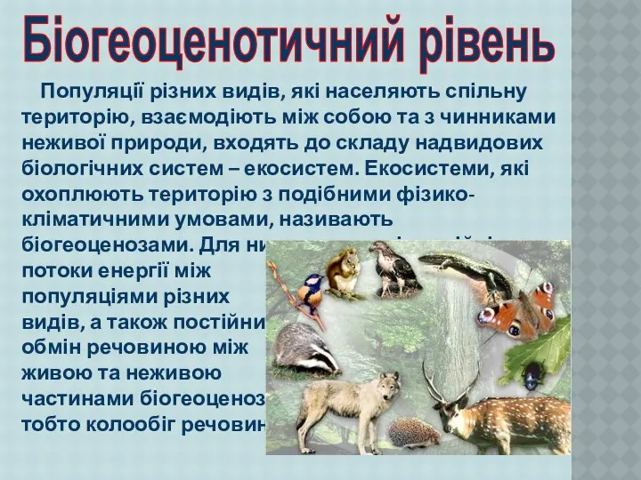 Популяції різних видів, які населяють спільну територію, взаємодіють між собою