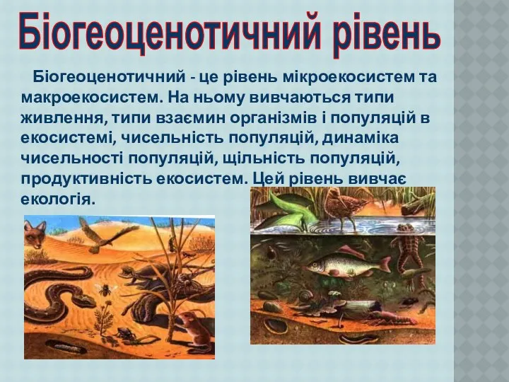 Біогеоценотичний - це рівень мікроекосистем та макроекосистем. На ньому вивчаються